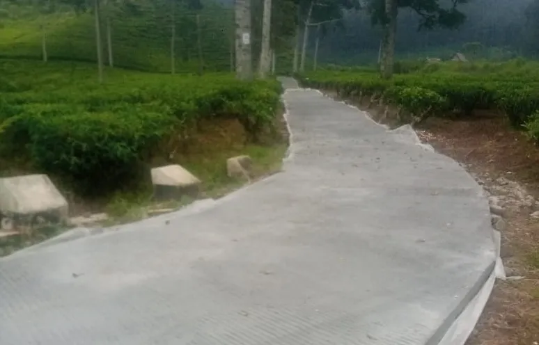 Indragiri Realisasikan DD Ke Infrastruktur Jalan