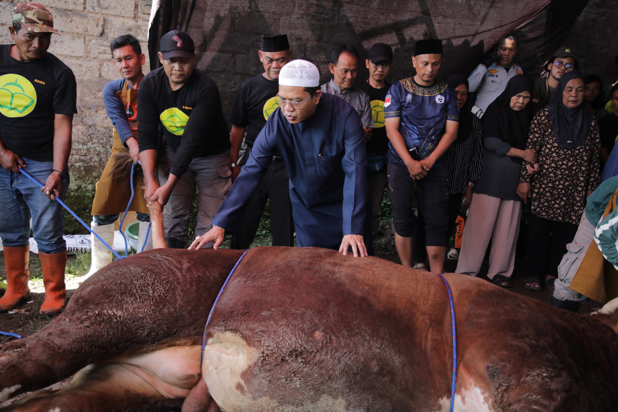 KDS Apresiasi Bantuan Sapi Kurban Presiden Prabowo Warga Dayeuhkolot