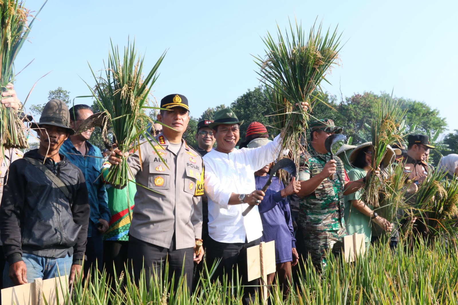 KDS: Sawah Jadi LP2B, Petani Dapat Bebas PBB dan Jaminan Infrastruktur