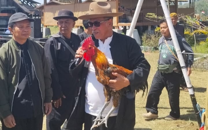Kampung Sunda Kamojang Jadi Daya Tarik Penggemar Ayam Pelung