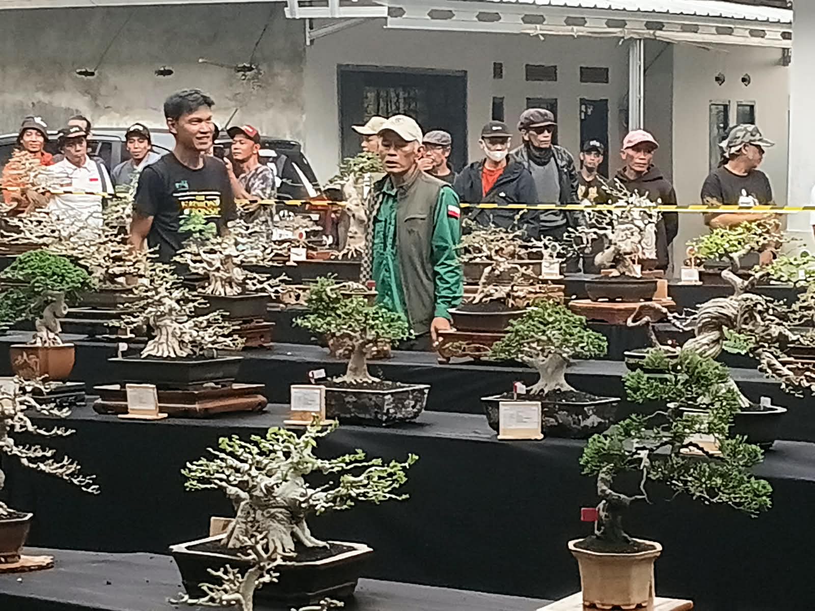 Moyan Bonsai Terbuka Digelar Bandung Selatan